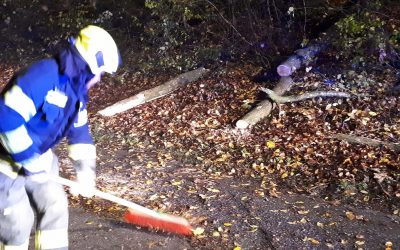 08.11.2019 Baum über Straße Richtung Wankham