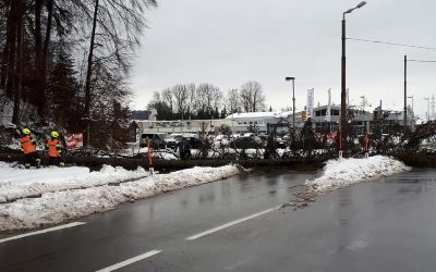 12.01.2019 Schneedruck – kurzfristige Sperre der Himmelreichkreuzung erforderlich