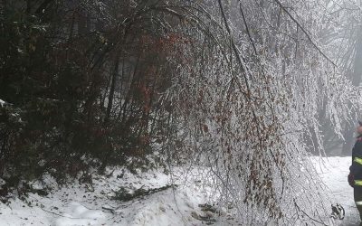 04.02.2017 Verkehrswege wieder frei gemacht