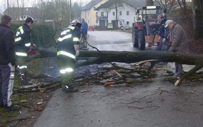 31.12.2009 Baum über Straße Wankham