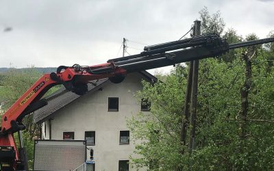 11.05.2019 Hilfe beim Entfernen von Bäumen