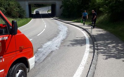 08.08.2019 Auto kam auf Dieselspur ins Schleudern