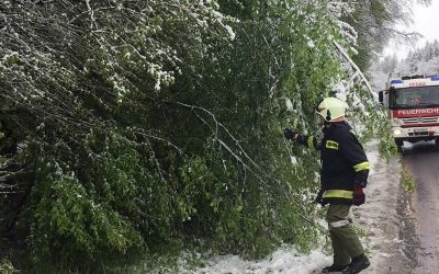 28.04.2017 Schneedruck