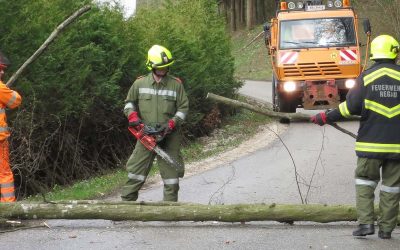 31.03.2015 Sturm Niklas