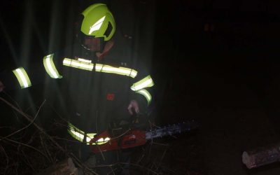 04.03.2019 Baum blockiert Straße