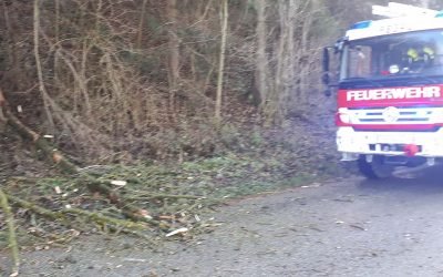 14.12.2019 Aufräumarbeiten nach Sturm