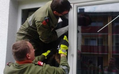 10.07.2012 Tierrettung