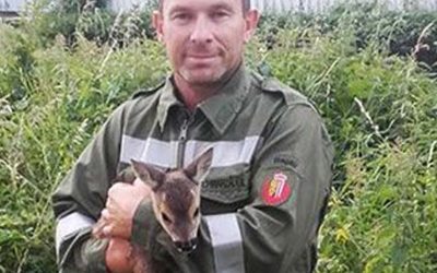 25.06.2015 Tierrettung