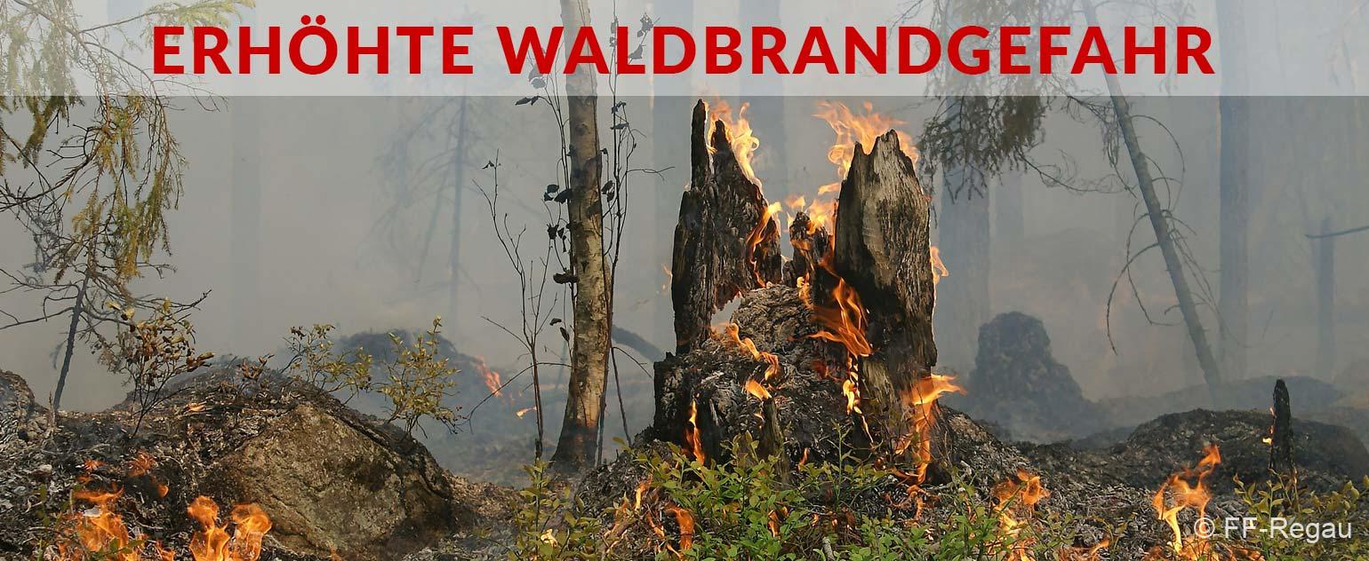 Waldbrandschutz-Intro
