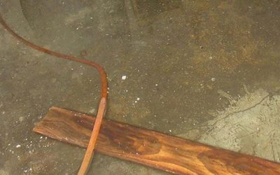 31.01.2012 Wasserschaden Keller