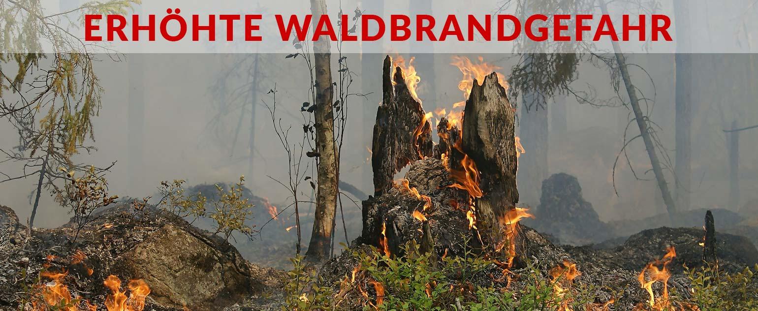 Waldbrandschutz-Intro