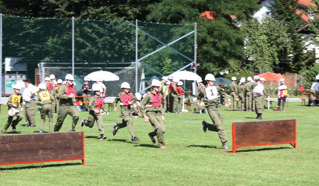 08.07.2011 Landesbewerb in Andorf