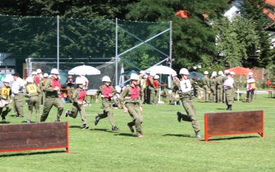 08.07.2011 Landesbewerb in Andorf