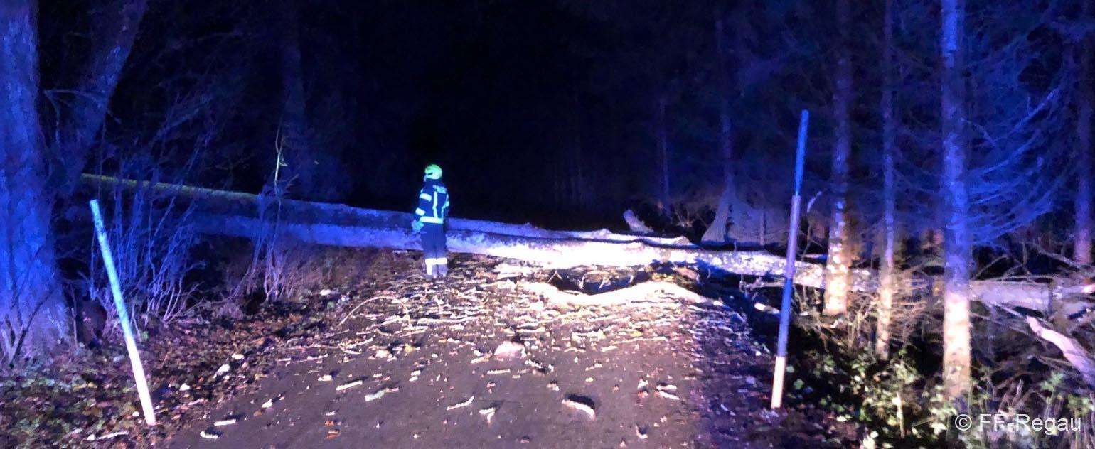 Sturmschaden-Wankham-Intro