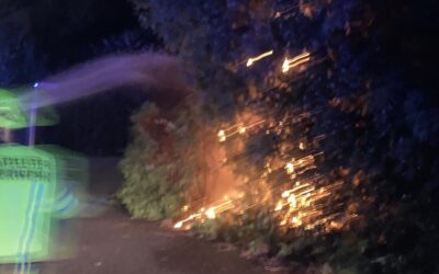 13.08.2022 Brand Baum