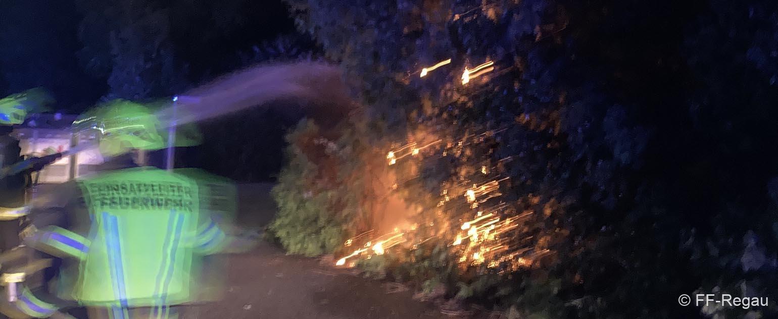 Baumbrand-Lixlau-Intro