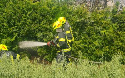 20.06.2022 Flurbrand – Selbstentzündung Grünschnitt