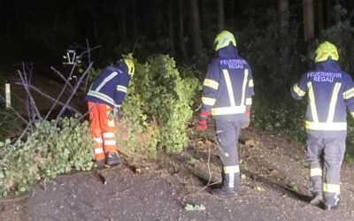 13.05.2022 Umgestürzter Baum blockiert Straße am Oberregauerberg