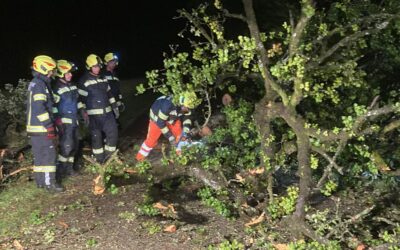 30.06.2022 Umgestürzter Baum blockierte Straße in Ortschaft Riedl
