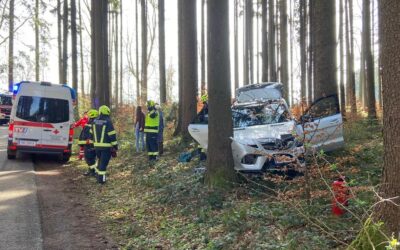11.04.2022 Verkehrsunfall eingeklemmte Person